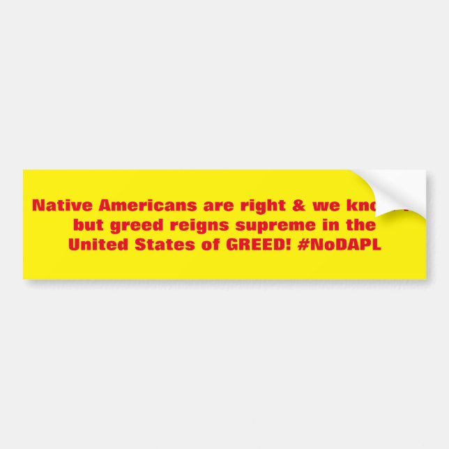 Indianer är höger #NoDAPL Bildekal (Framsidan)