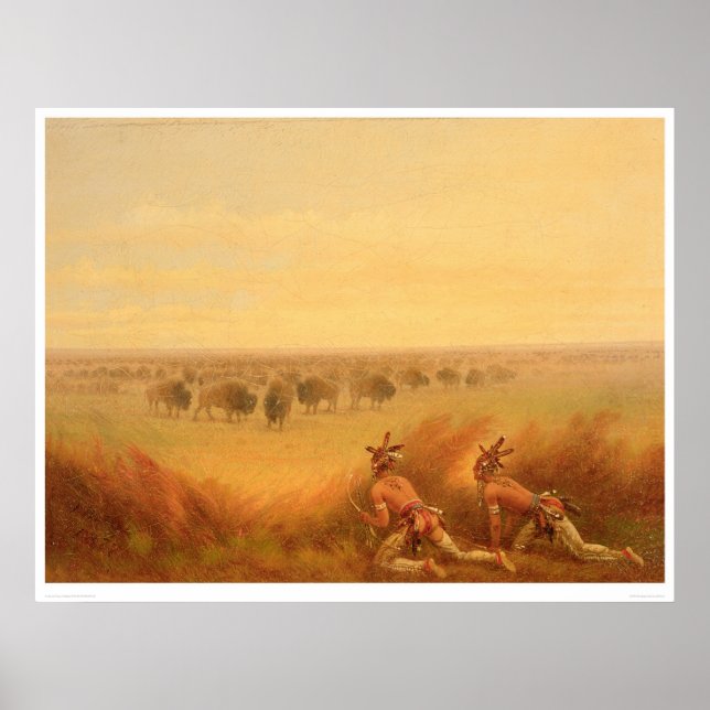 Indianer som klättrar upp på en herd av Buffalo (1 Poster (Framsidan)