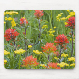 indianska penseldrag och biscuitrot vilda blommor musmatta
