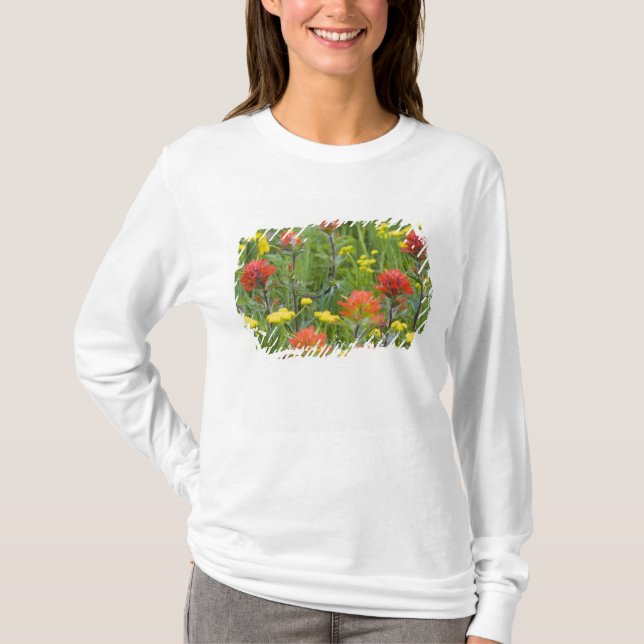 indianska penseldrag och biscuitrot vilda blommor tröja (Framsida)