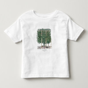 Indica eystettensis för Ficus, från 'Hortusen T Shirt
