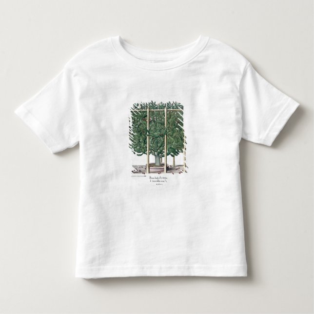 Indica eystettensis för Ficus, från 'Hortusen T Shirt (Framsida)