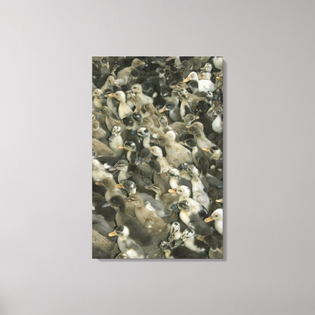 Indien Canvastryck (Framsida)