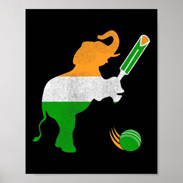 Indien Cricket 1  Poster (Framsidan)