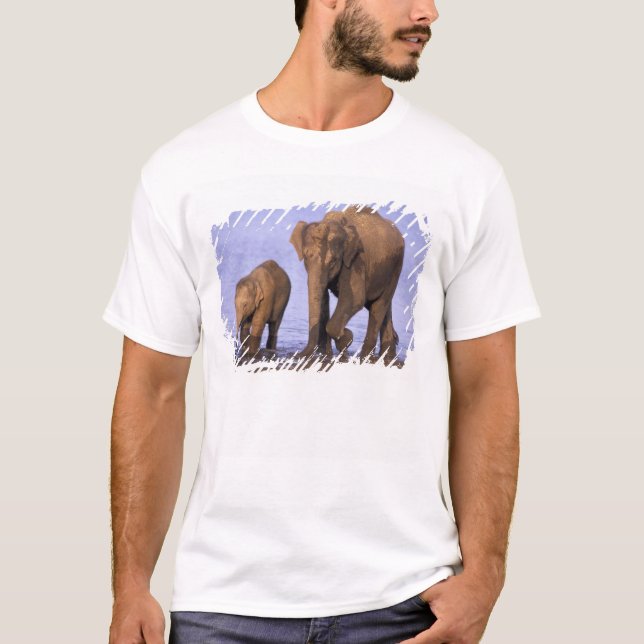 Indien, Nagarhålsparken. Asiatisk elefant T Shirt (Framsida)