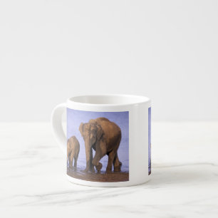 Indien, Nagarhole National Park. Asiatisk elefant Espressomugg