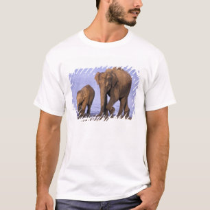 Indien, Nagarhole National Park. Asiatisk elefant T Shirt