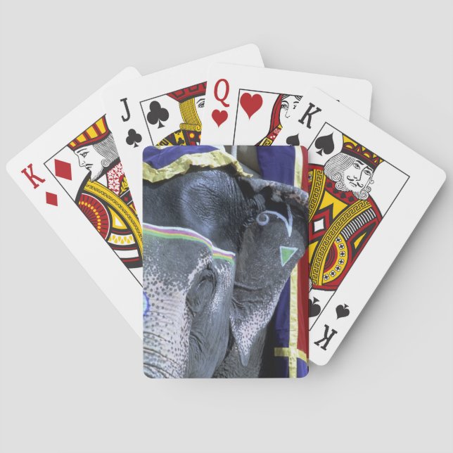 Indien, Rajasthan, Jaipur. Amber Fort. Casinokort (Baksidan)