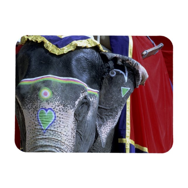 Indien, Rajasthan, Jaipur. Amber Fort. Magnet (Horisontell)