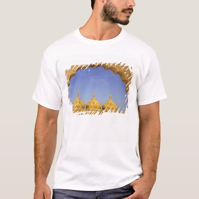 Indien, Rajasthan, Jaisalmer. Sandstenskupler T-shirt (Framsida)
