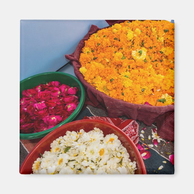 Indien, Rajasthan, Pipar Magnet (Framsidan)