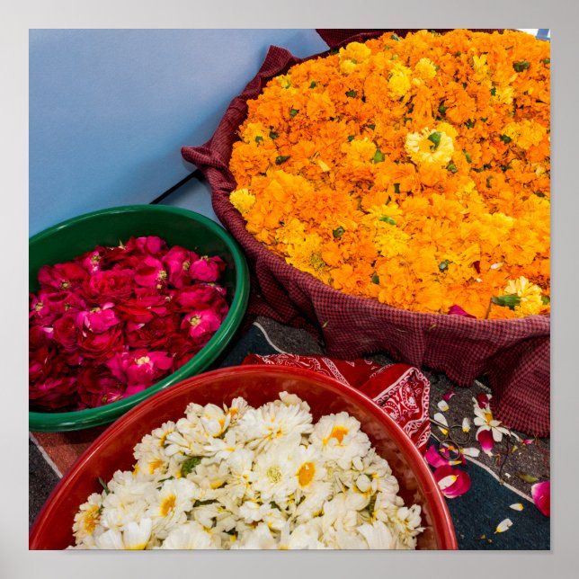 Indien, Rajasthan, Pipar Poster (Framsidan)