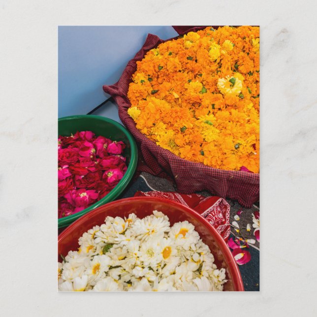 Indien, Rajasthan, Pipar Vykort (Framsida)