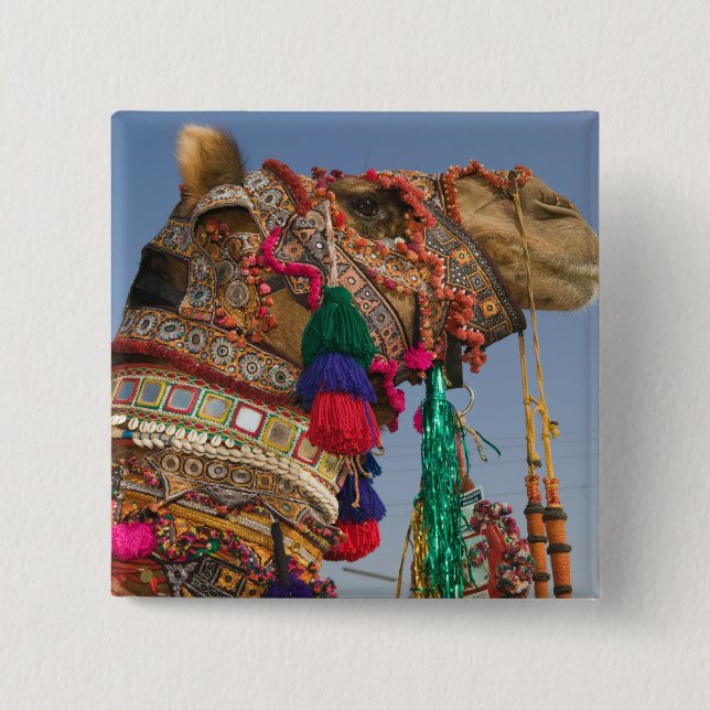 INDIEN, Rajasthan, Pushkar: PUSHKAR KAMELMÄSSA, Knapp (Framsida)