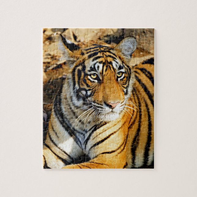 Indien, Sawai Madhopur, Ranthambore National Pussel (Vertikal)