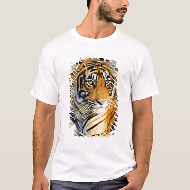 Indien, Sawai Madhopur, Ranthambore National Tee Shirt (Framsida)