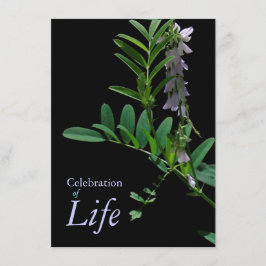 Indigo 1 Firande av livets begravningsannonsering Inbjudningar