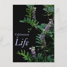 Indigo 3 Firande av livets begravning Inbjudningar