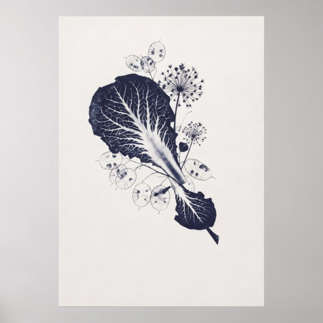 Indigo blad Lunaria Allium Botanisk Studie Affisch (Framsidan)
