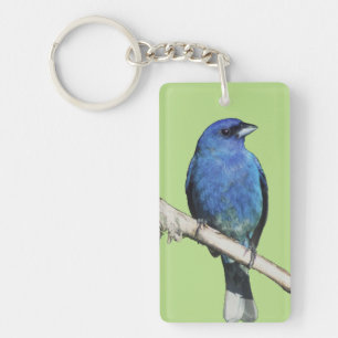 Indigo Bunting