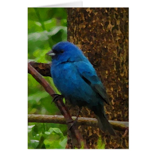 Indigo Bunting Blank Card Hälsningskort (Framsidan)