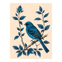 Indigo Bunting Bliss - A Sång i Färg