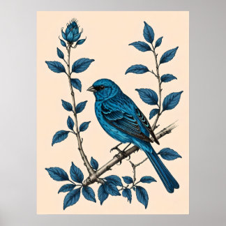 Indigo Bunting Bliss - A Sång i Färg Poster