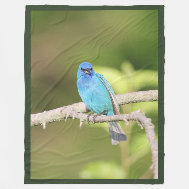 Indigo Bunting Fleecefilt (Framsidan)