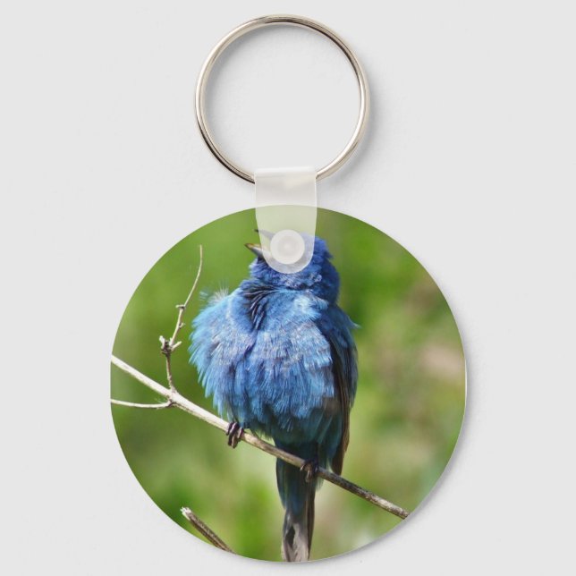 Indigo Bunting Keychain Nyckelring (Framsida)