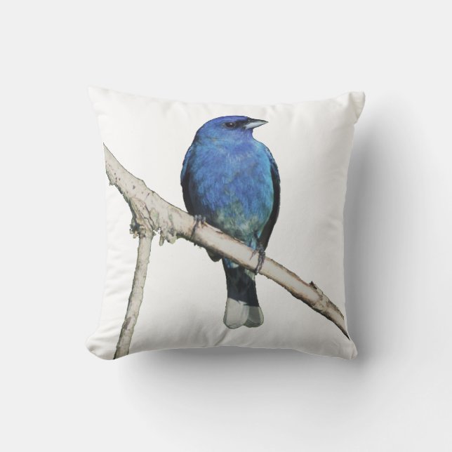 indigo bunting kudde (Framsida)