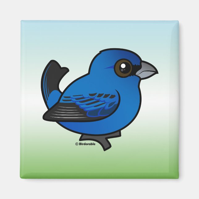 Indigo Bunting Magnet (Framsidan)