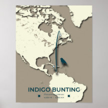 Indigo Bunting Migration Karta - Minimalistisk Vin