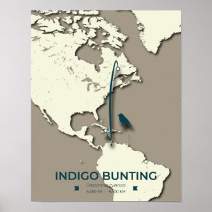 Indigo Bunting Migration Karta - Minimalistisk Vin Poster