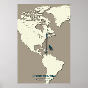 Indigo Bunting Migration Karta - Minimalistisk Vin Poster