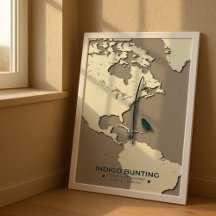 Indigo Bunting Migration Karta - Minimalistisk Vin