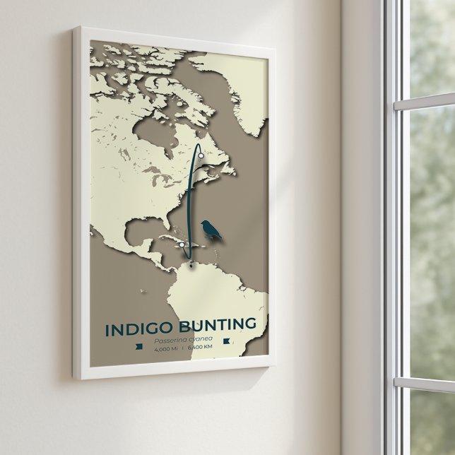 Indigo Bunting Migration Karta - Minimalistisk Vin Poster (Skapare uppladdad)