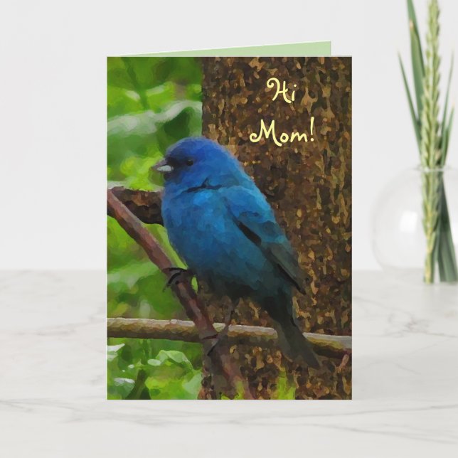 Indigo Bunting Mors dag Kort (Framsida)