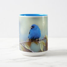 Indigo Bunting Mugg