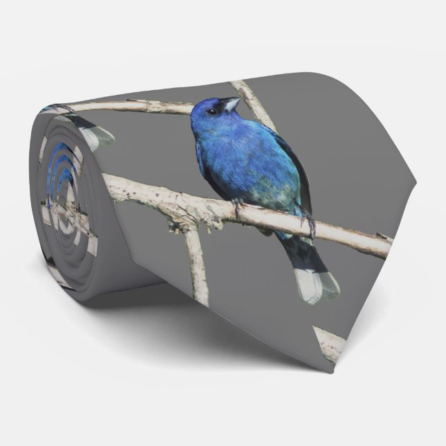 Indigo Bunting Neck Tie Slips (Rullad)