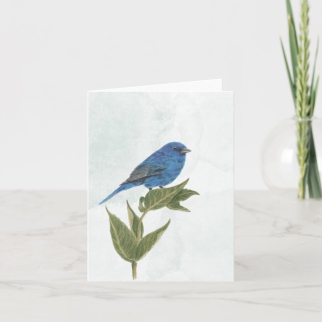 Indigo Bunting Note-kort Anteckningskort (Framsida)