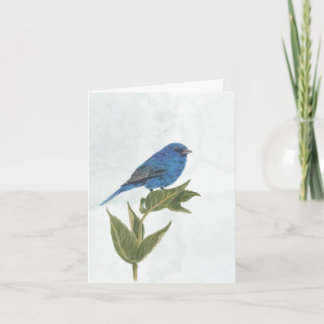 Indigo Bunting Note-kort Anteckningskort