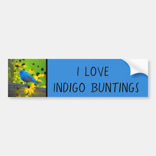 Indigo Bunting Painting - Original Bird Art Bildekal (Framsidan)