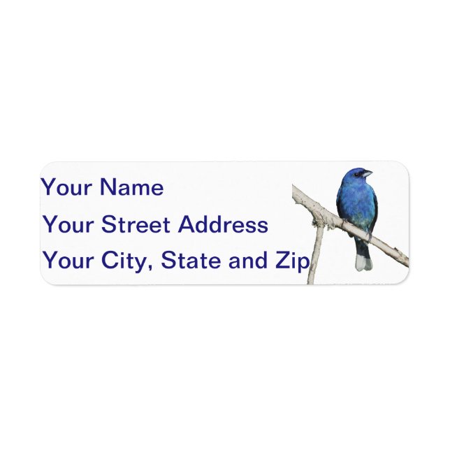 Indigo Bunting Returadress Etikett (Framsidan)