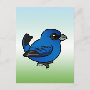 Indigo Bunting Vykort