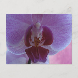 Indigo färgad orchid vykort