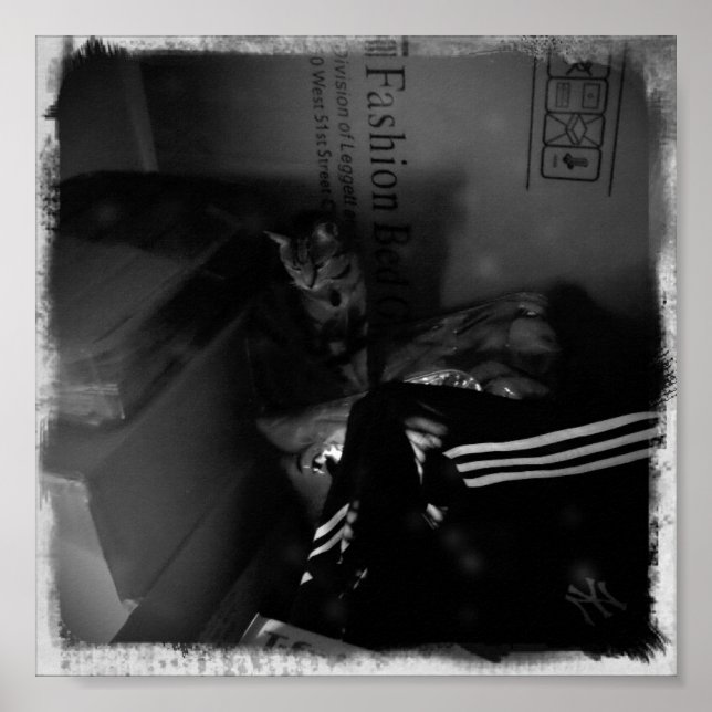 Indigo Flytta Helper Poster (Framsidan)