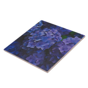 Indigo Hortensia Skymning Dekorativ Keramisk Platt Kakelplatta
