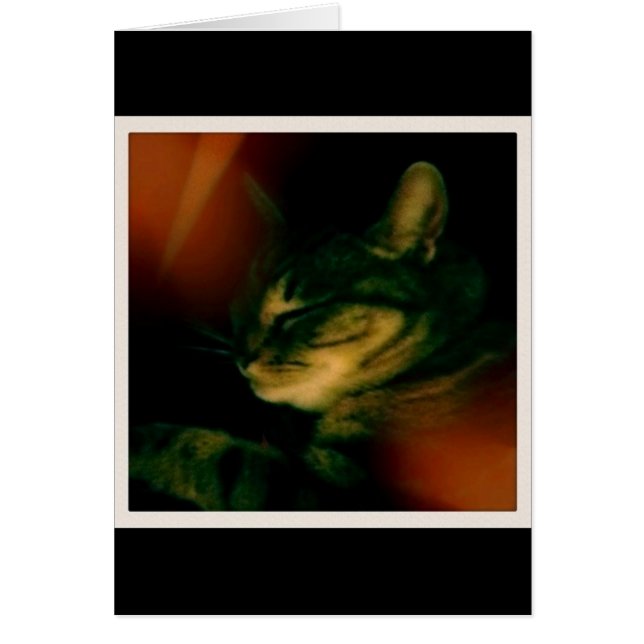 Indigo Naptime Closeup Hälsningskort (Framsidan)