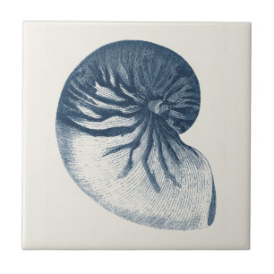 Indigo Shark Öga Seashell Kakelplatta