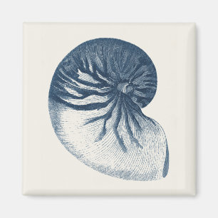 Indigo Shark Öga Seashell Magnet
